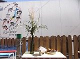 005.jpg