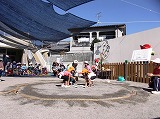 037.jpg