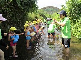 H25川で遊ぼう3.jpg